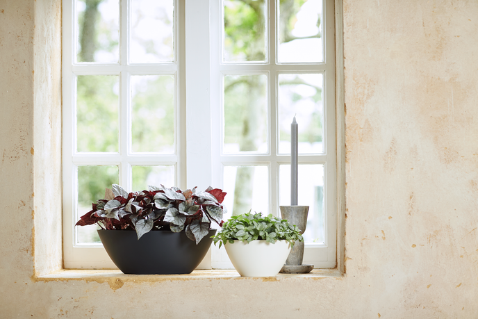 brussels ovaal 36cm antraciet